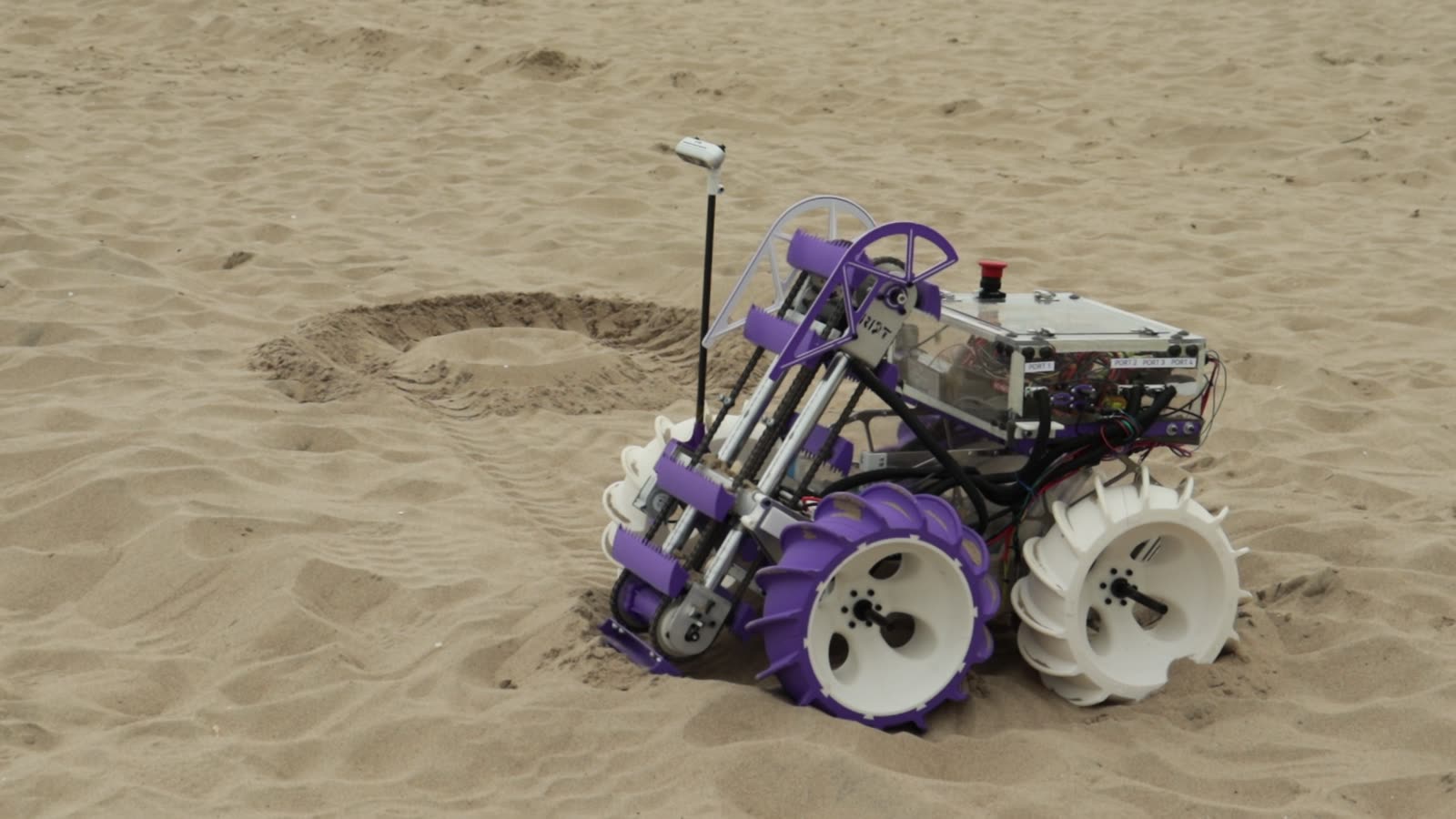 Luna testing on the sand at Coney Island